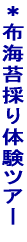 ���z�C�ۍ̂�̌��c�A�[ 