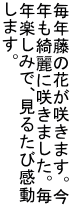 N̉Ԃ炫܂B NYɍ炫܂B Ny݂ŁA邽ъ ܂B