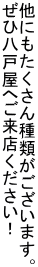 ɂނ܂B ДˉւXI