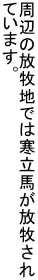 ӂ̕qnł͊nq Ă܂B