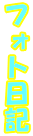 tHgL 