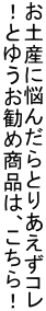 yYɔY񂾂Ƃ肠R IƂ䂤ߏíAI