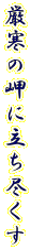 ̖ɗs