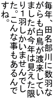 NAcɐH nĂ ܂N͌ PH܂ł BȎ ˁB