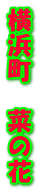 l@؂̉ 