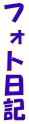 tHgL