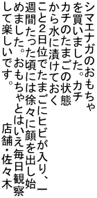 V}GiK̂ 𔃂܂BJ` J`̂܂̏ 琅ɒЂĂ ƂQʂł܂ɃqrA TԂɂ͏XɊon ߂܂BƂ͂ώ@ ĊyłB@@@@X܁EX